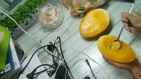 吃蜜瓜的勺子怎么用视频,轻松享受夏日美味