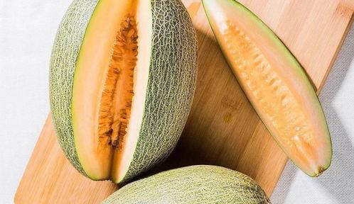 小鸟可以吃哈密瓜吗视频,揭秘鸟类美食新选择