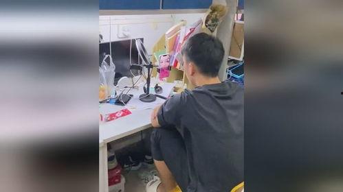 网络吃瓜内涵视频大全,揭秘热门视频背后的趣味与内涵